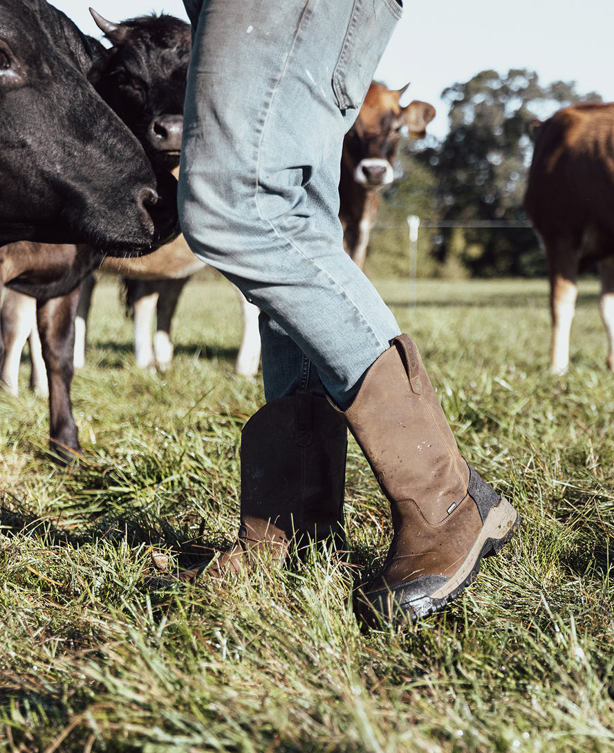 Men's Evanston Pull-On Waterproof Boot (Carbon Toe) Bison/Black - Image 8