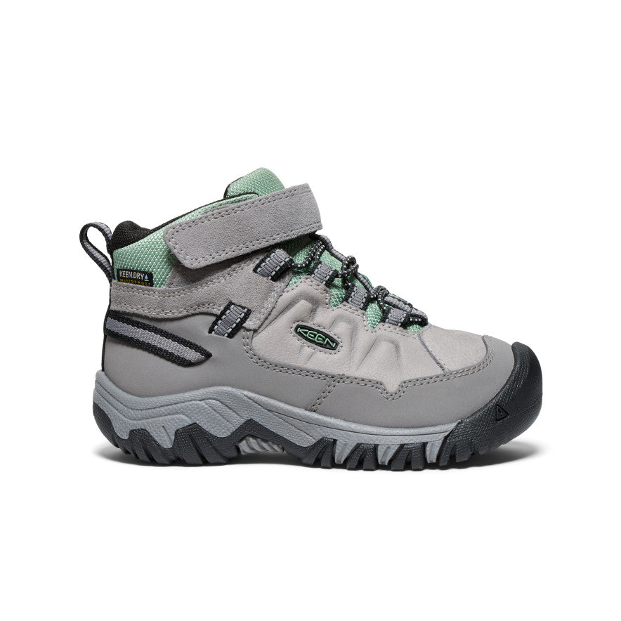 Little Kids' Targhee IV Waterproof Hiking Boot Alloy/Granite Green