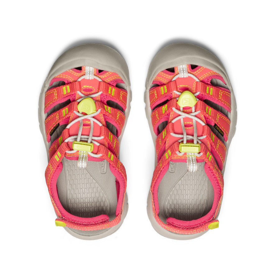 Little Kids' Newport Boundless Sandal Dubarry/Evening Primrose - Image 4